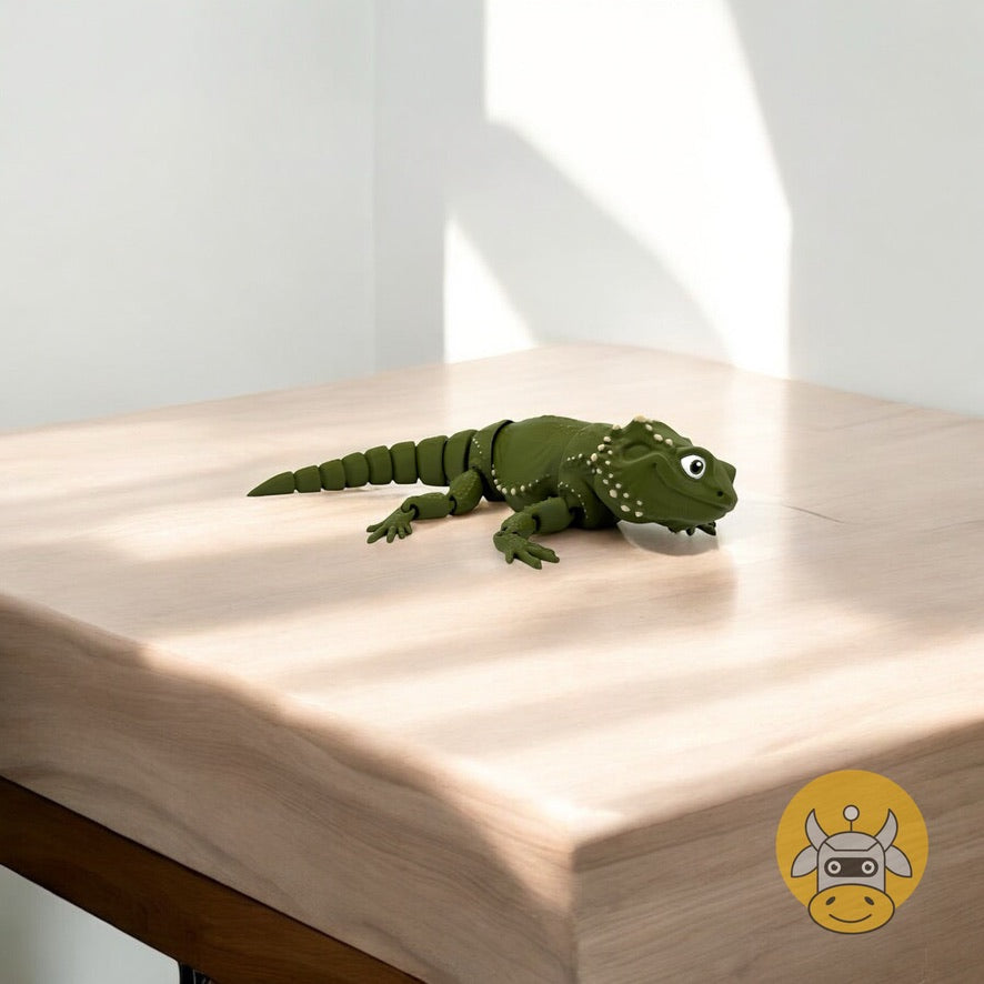 Bearded Dragon