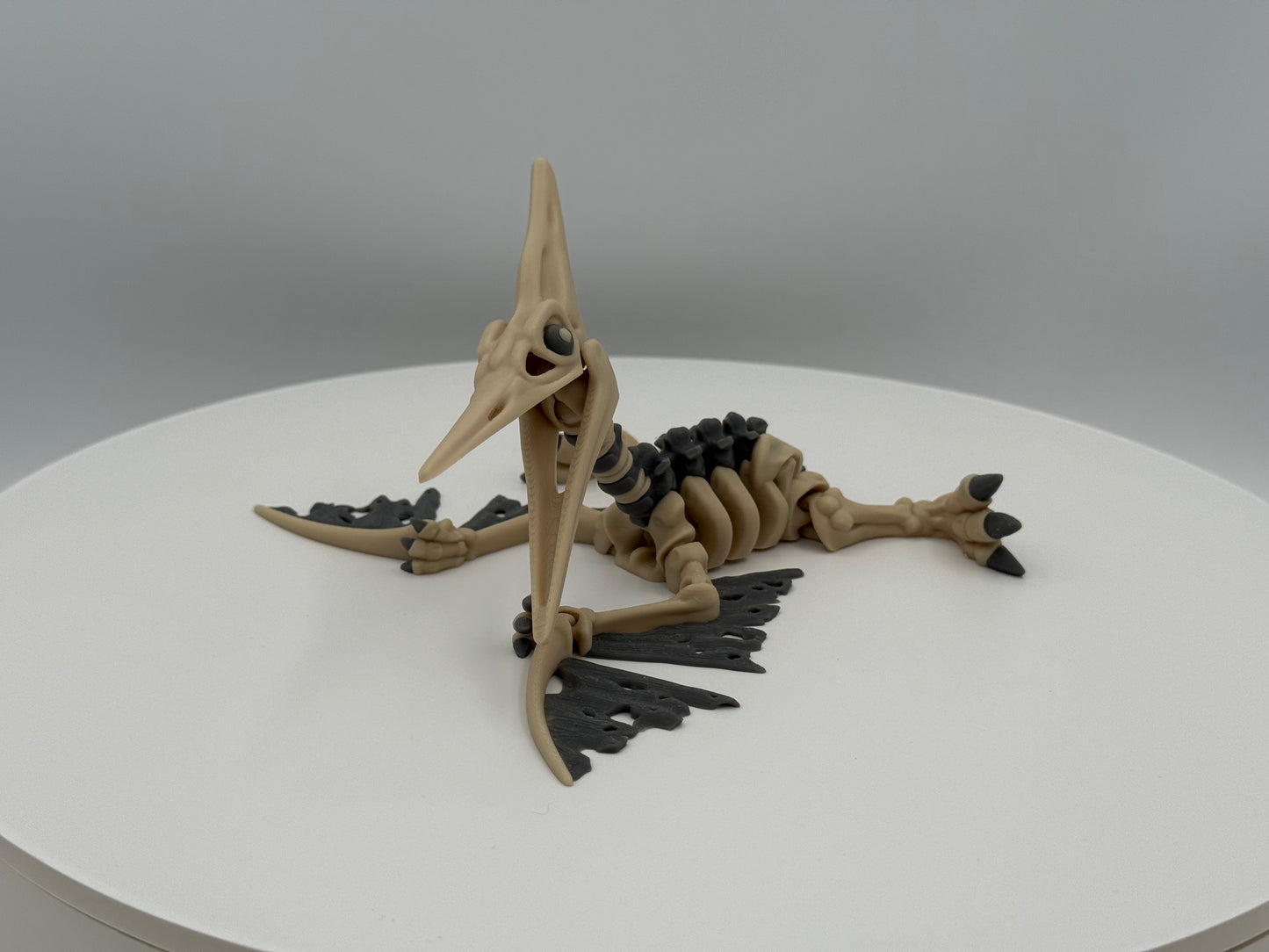 Skeleton Pterodactyl