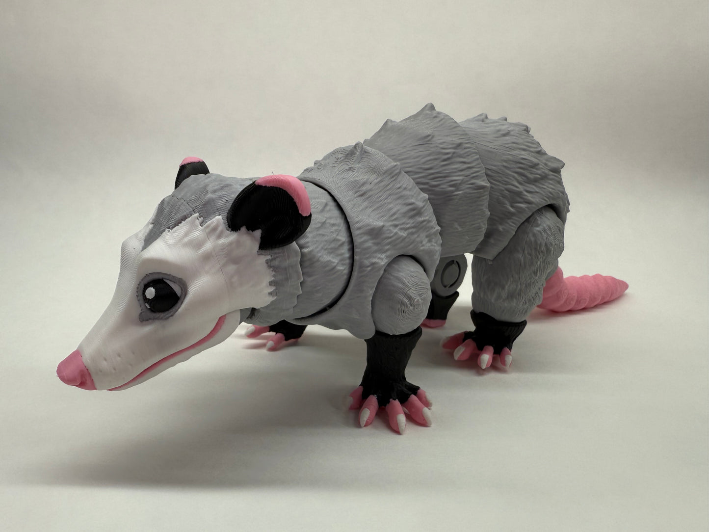 Opossum