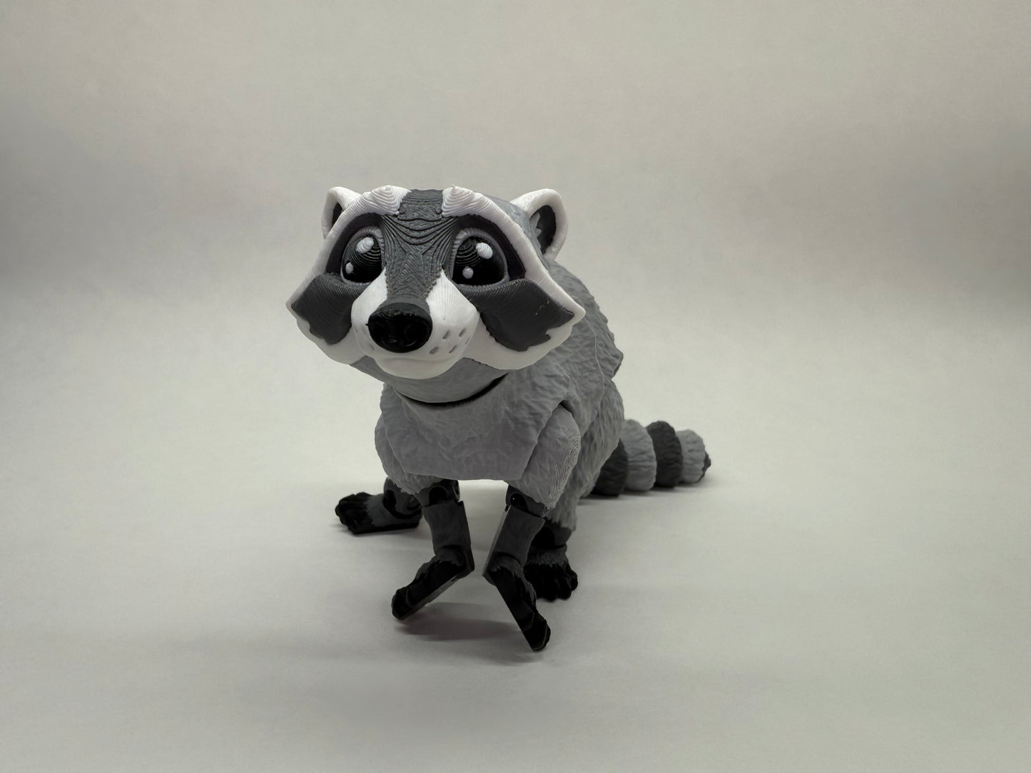 Raccoon