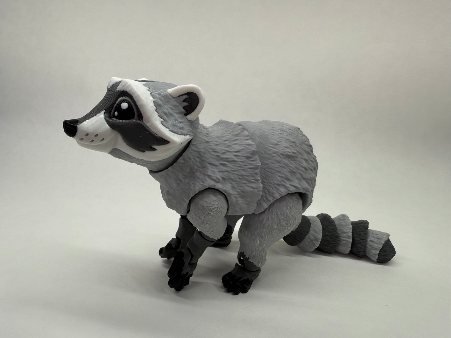 Raccoon