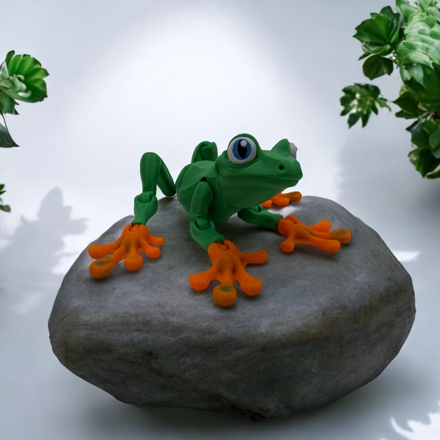 Tree Frog