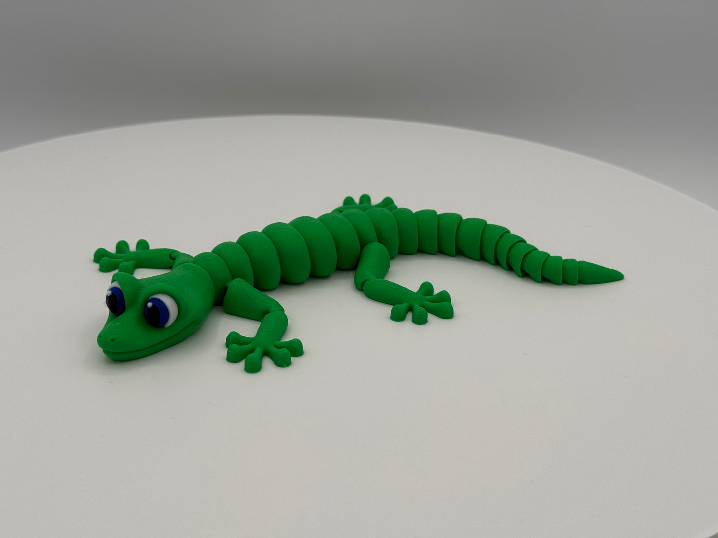 Lizard