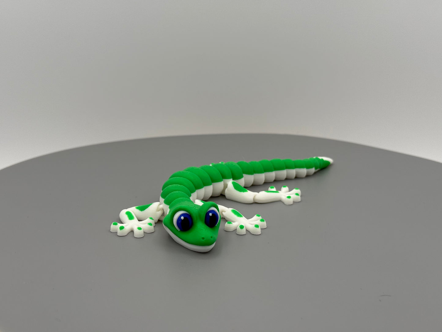 Lizard