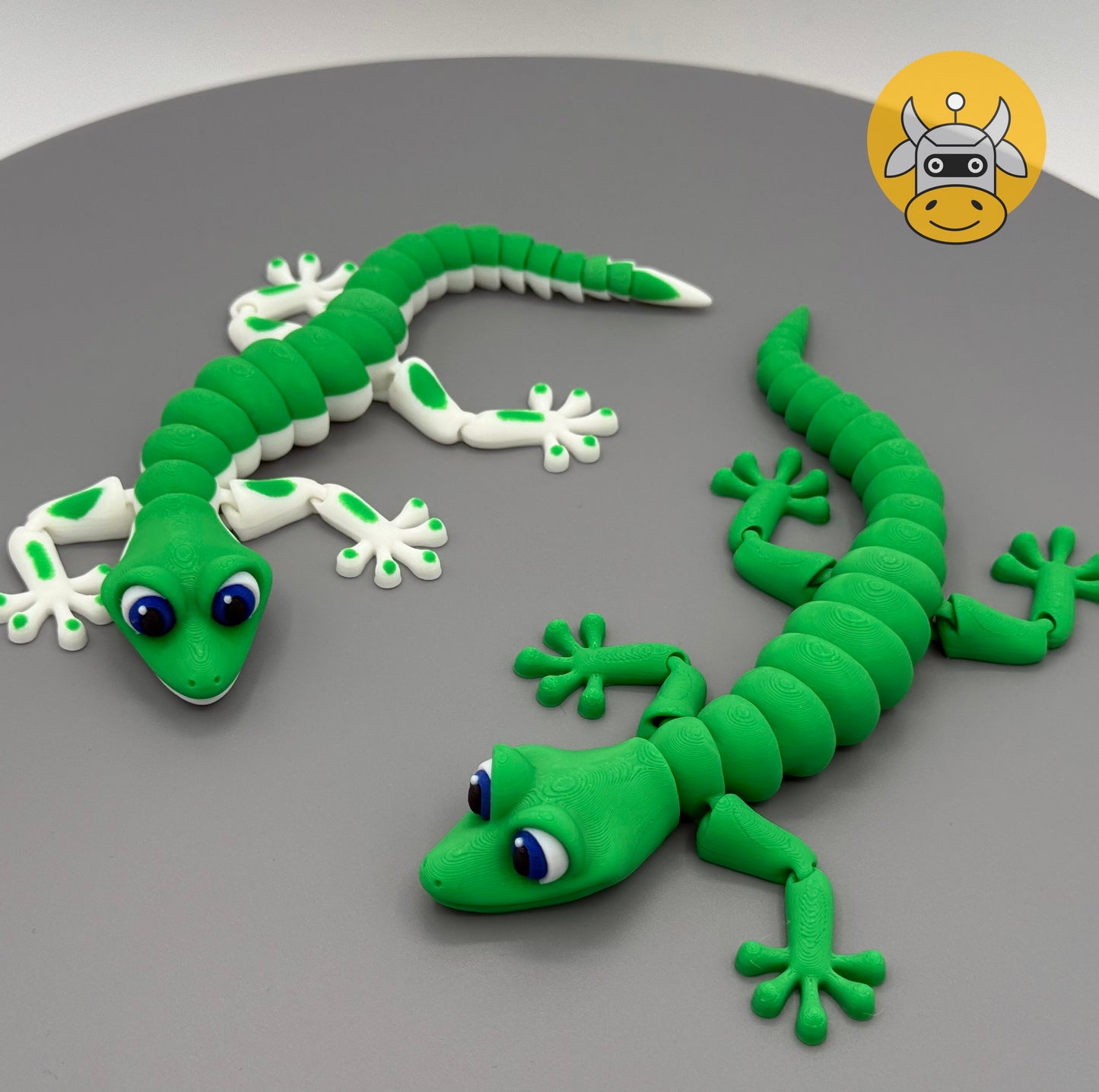 Lizard