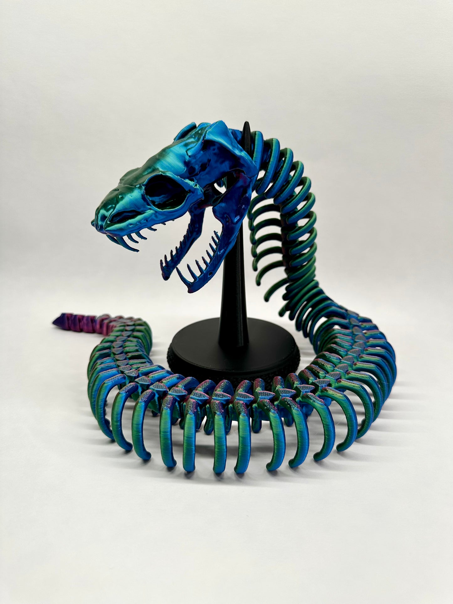 Skeleton Snake (with stand)