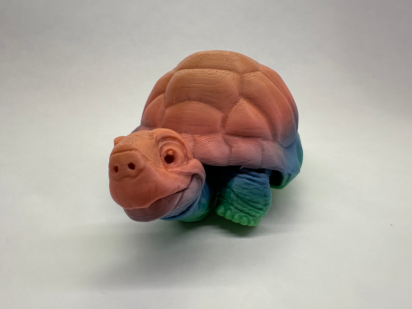 Tortoise