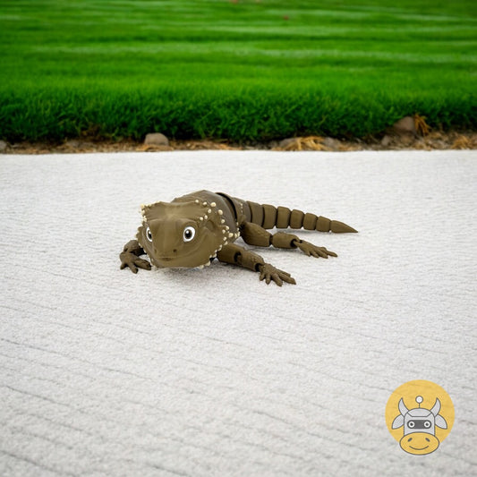 Bearded Dragon