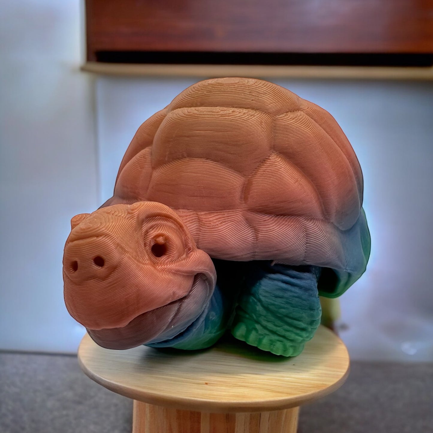 Tortoise