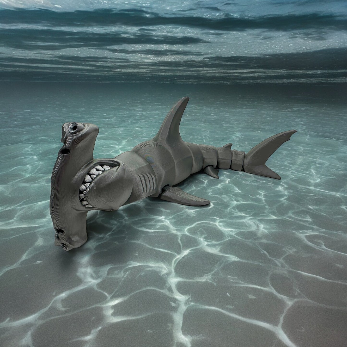 Hammerhead Shark