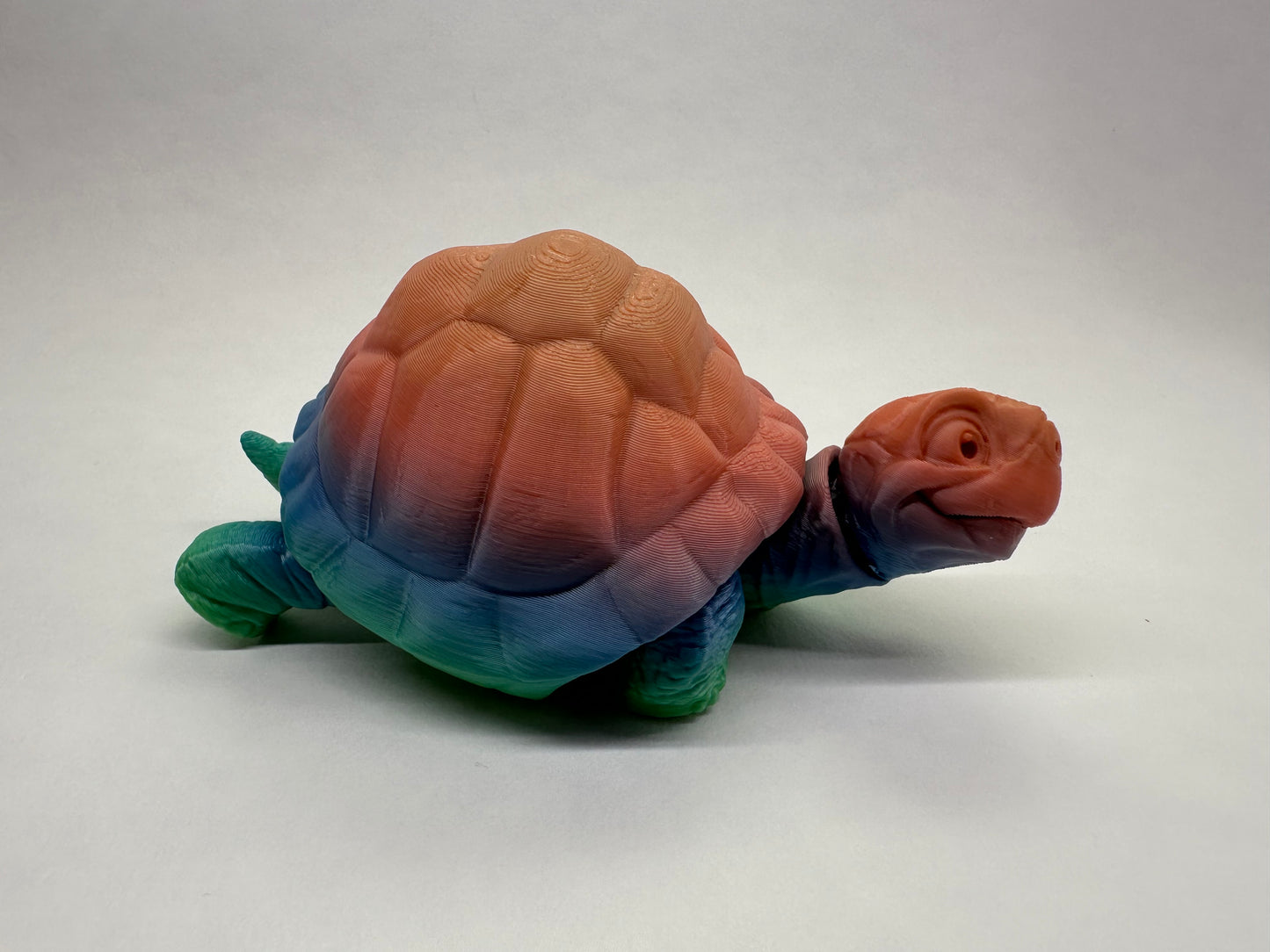 Tortoise