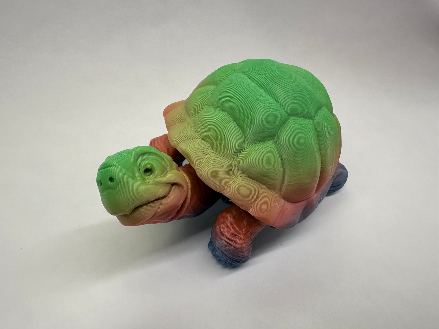 Tortoise