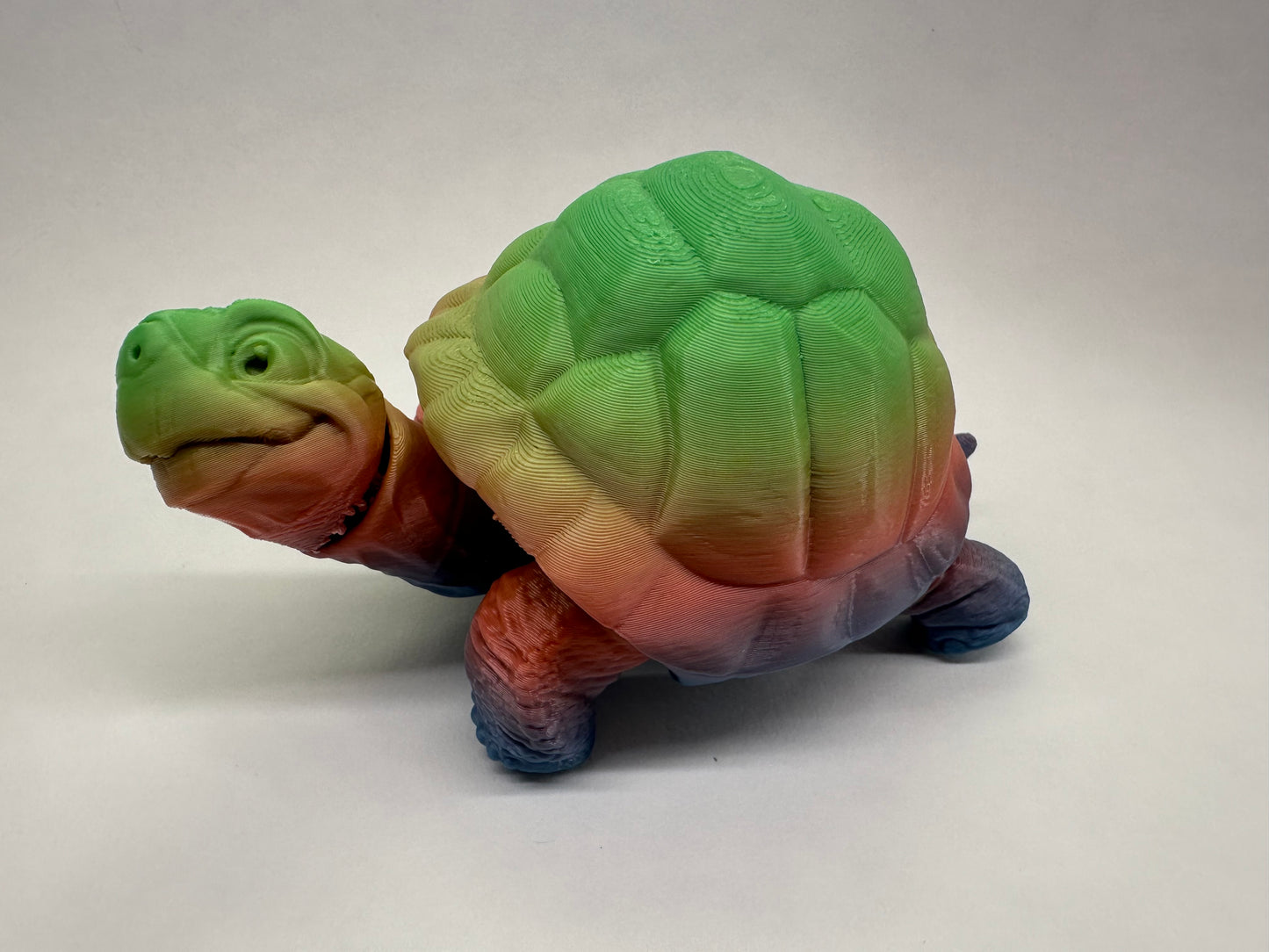 Tortoise