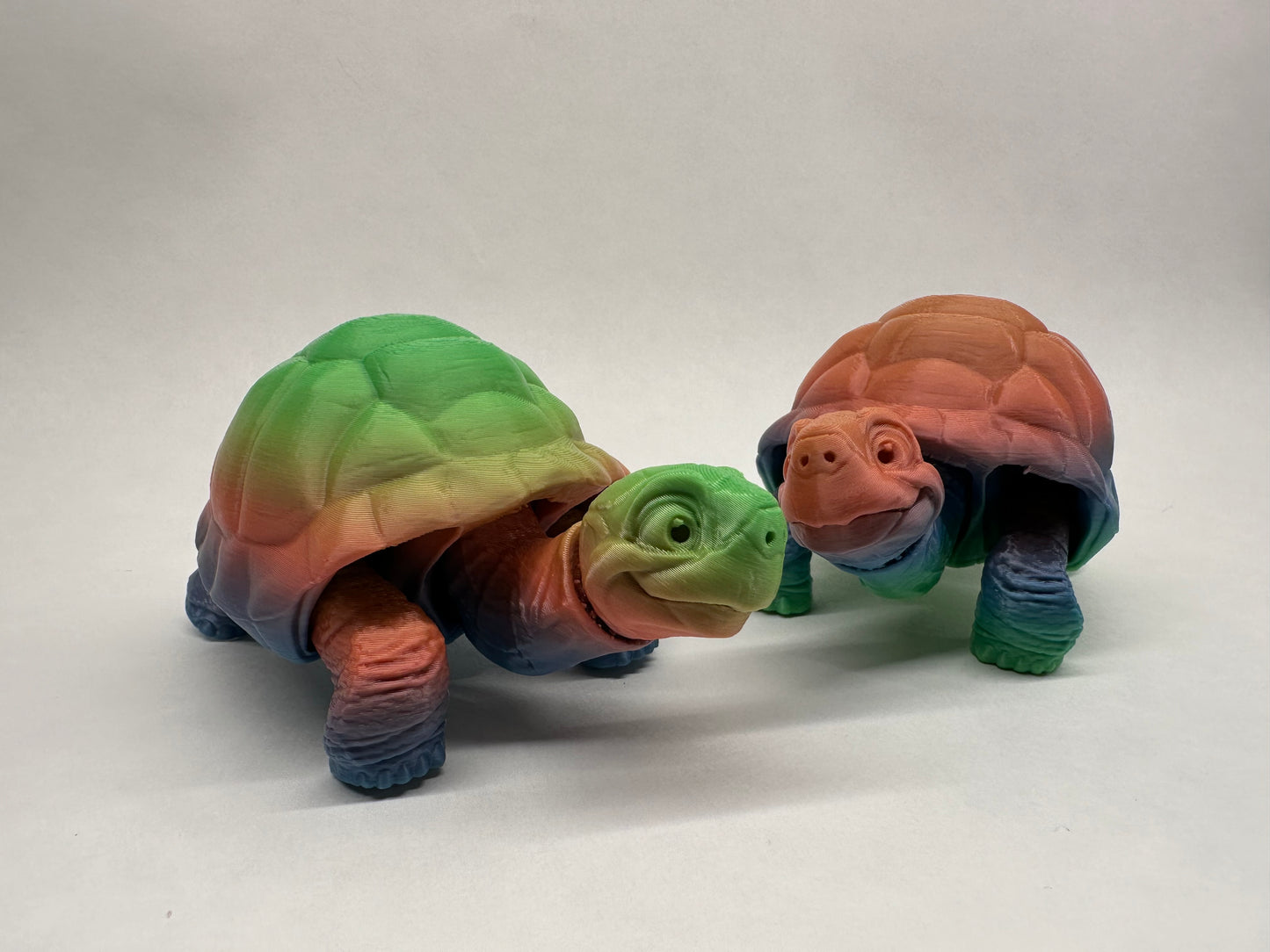 Tortoise