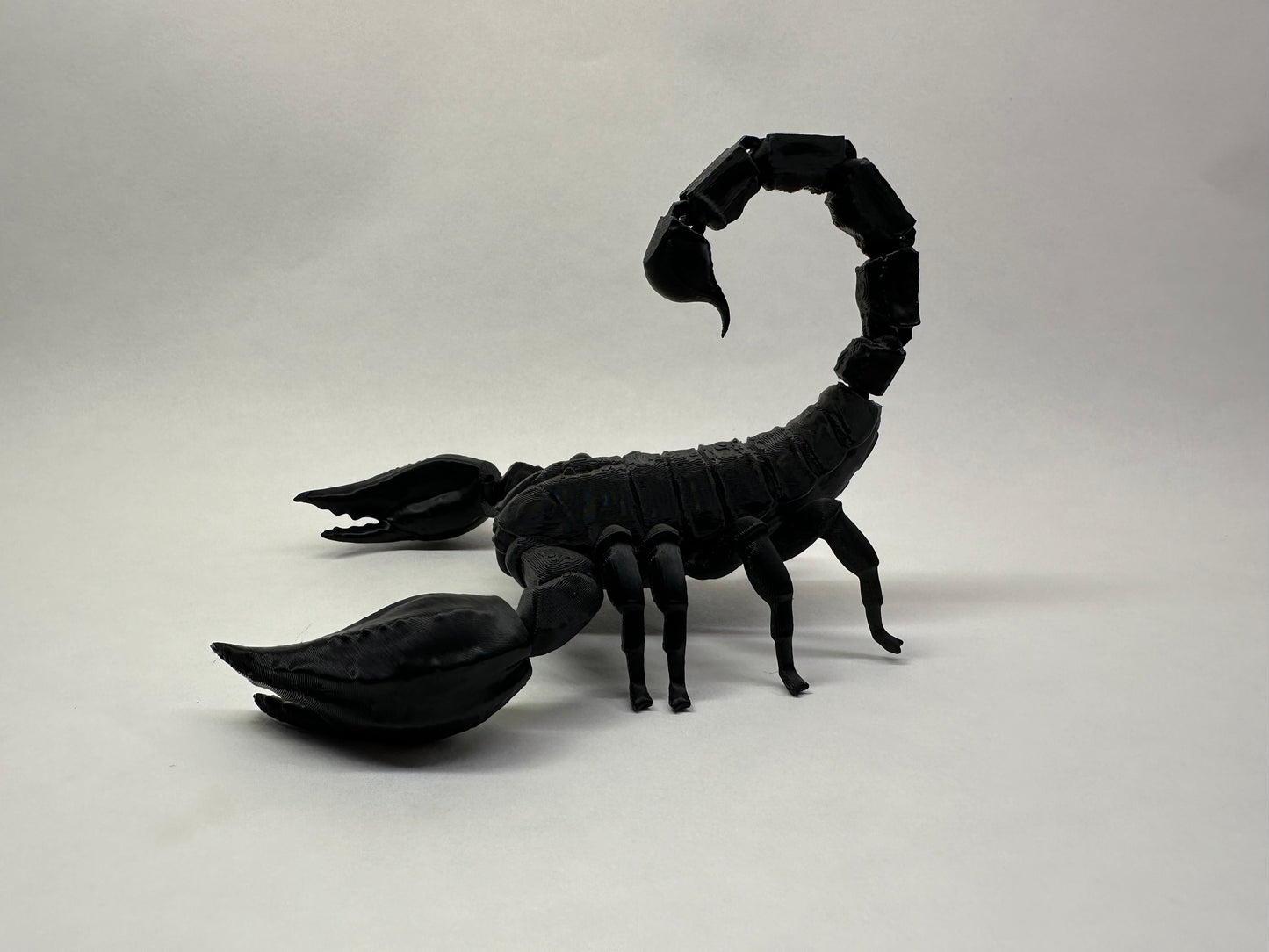 Scorpion