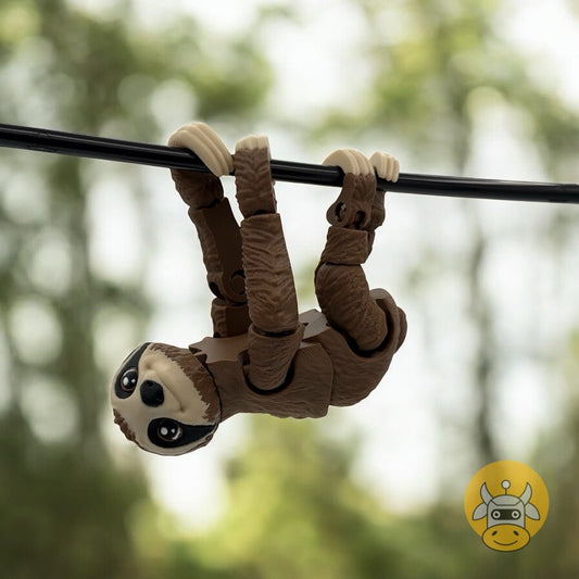 Sloth