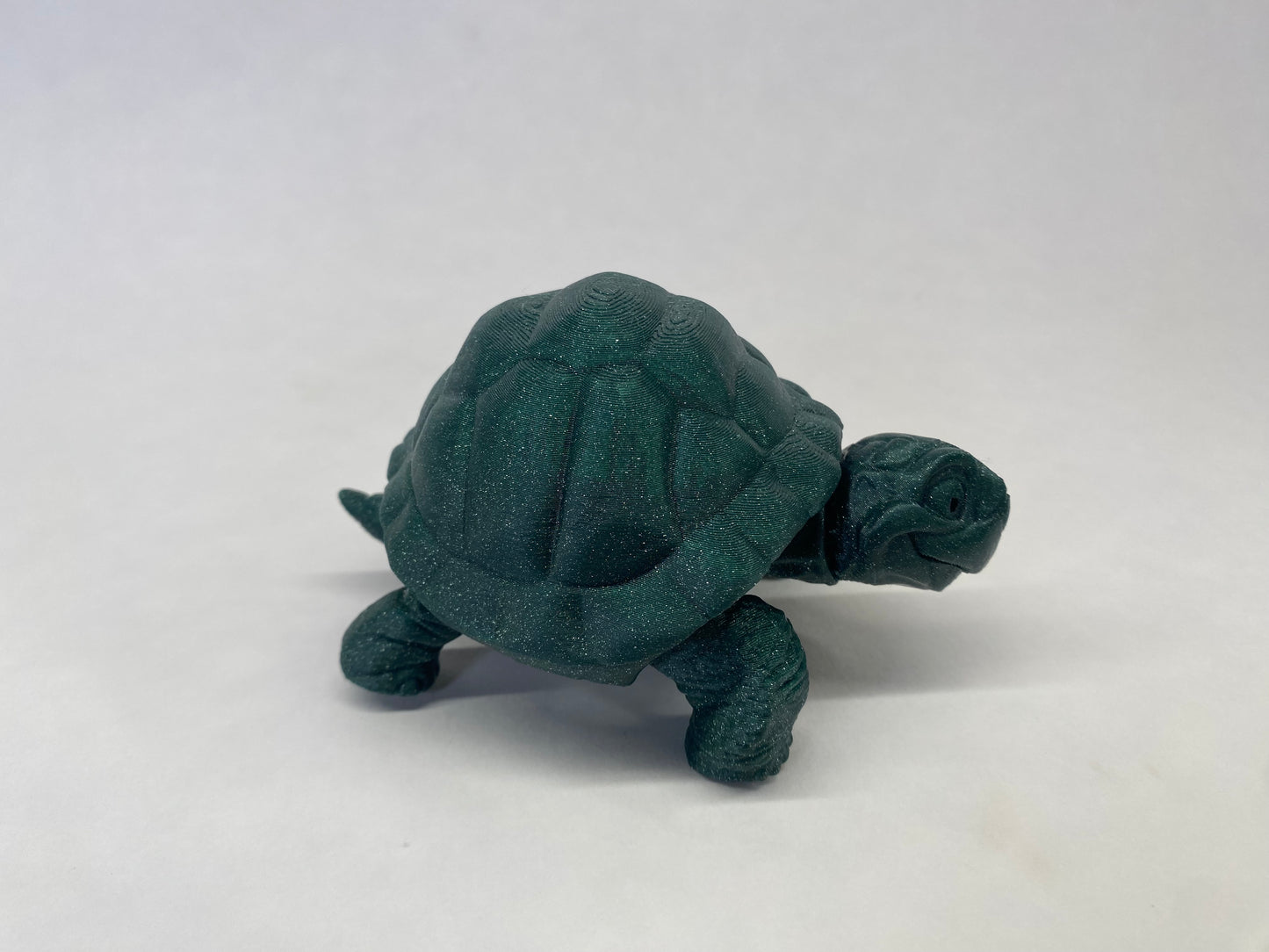 Tortoise