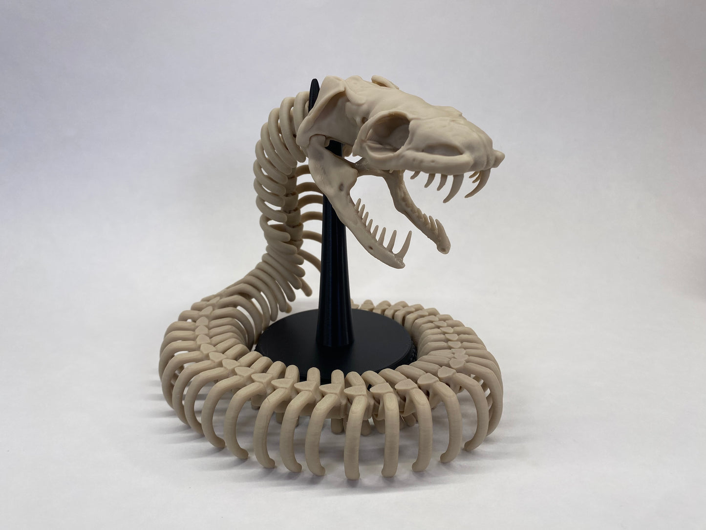 Skeleton Snake (with stand)