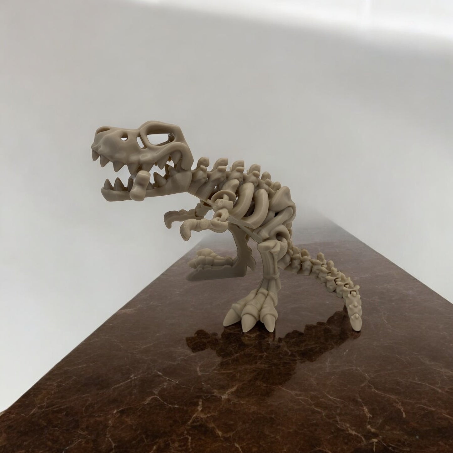 Skeleton T-Rex